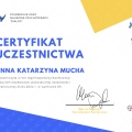Powiększ obraz: certificate 17