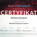Powiększ obraz: certificate 13