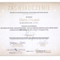 Powiększ obraz: certificate 1