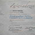 Powiększ obraz: certificate 3