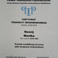 Powiększ obraz: certificate 2