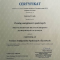 Powiększ obraz: certificate 1