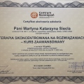 Powiększ obraz: certificate 4