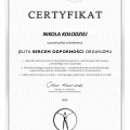 Powiększ obraz: certificate 8