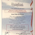 Powiększ obraz: certificate 2