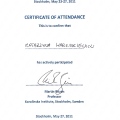 Powiększ obraz: certificate 14