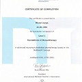 Powiększ obraz: certificate 1