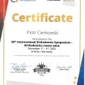 Powiększ obraz: certificate 1