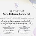 Powiększ obraz: certificate 3