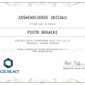 Powiększ obraz: certificate 5