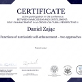 Powiększ obraz: certificate 3
