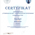 Powiększ obraz: certificate 37