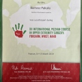 Powiększ obraz: certificate 9