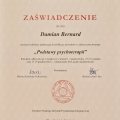 Powiększ obraz: certificate 4