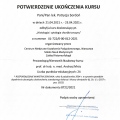 Powiększ obraz: certificate 10