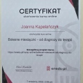 Powiększ obraz: certificate 20