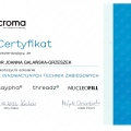 Powiększ obraz: certificate 11