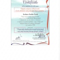 Powiększ obraz: certificate 29