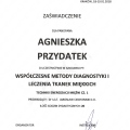 Powiększ obraz: certificate 11