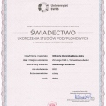 Powiększ obraz: certificate 1