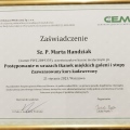 Powiększ obraz: certificate 1