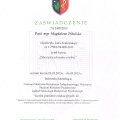 Powiększ obraz: certificate 1