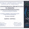 Powiększ obraz: certificate 11