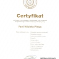 Powiększ obraz: certificate 16