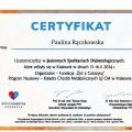 Powiększ obraz: certificate 13