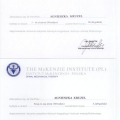 Powiększ obraz: certificate 11