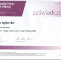 Powiększ obraz: certificate 2