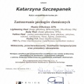 Powiększ obraz: certificate 9