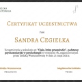 Powiększ obraz: certificate 4