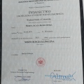 Powiększ obraz: certificate 26