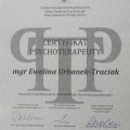Powiększ obraz: certificate 4
