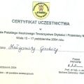 Powiększ obraz: certificate 38