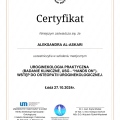 Powiększ obraz: certificate 5