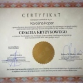 Powiększ obraz: certificate 1