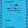 Powiększ obraz: certificate 26