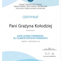 Powiększ obraz: certificate 1