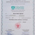 Powiększ obraz: certificate 13