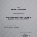 Powiększ obraz: certificate 1