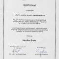 Powiększ obraz: certificate 7