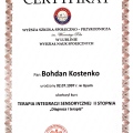 Powiększ obraz: certificate 9