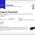 Powiększ obraz: certificate 1