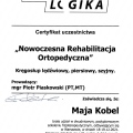 Powiększ obraz: certificate 3