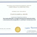 Powiększ obraz: certificate 4