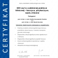 Powiększ obraz: certificate 3