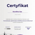 Powiększ obraz: certificate 2