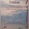 Powiększ obraz: certificate 12